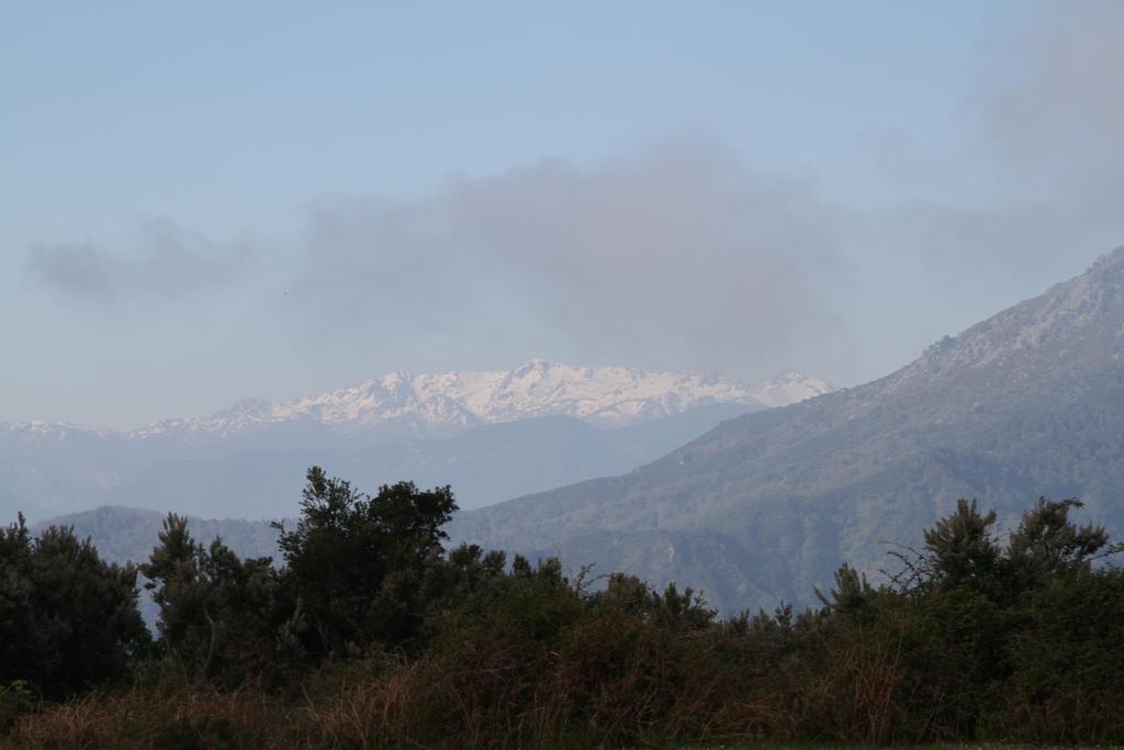 Kallista 1 San-Giuliano الغرفة الصورة