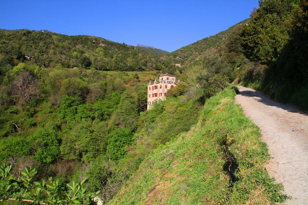 Kallista 1 San-Giuliano الغرفة الصورة